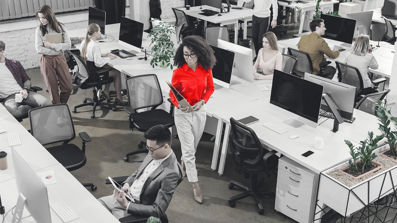 Mental Health Consultancy.